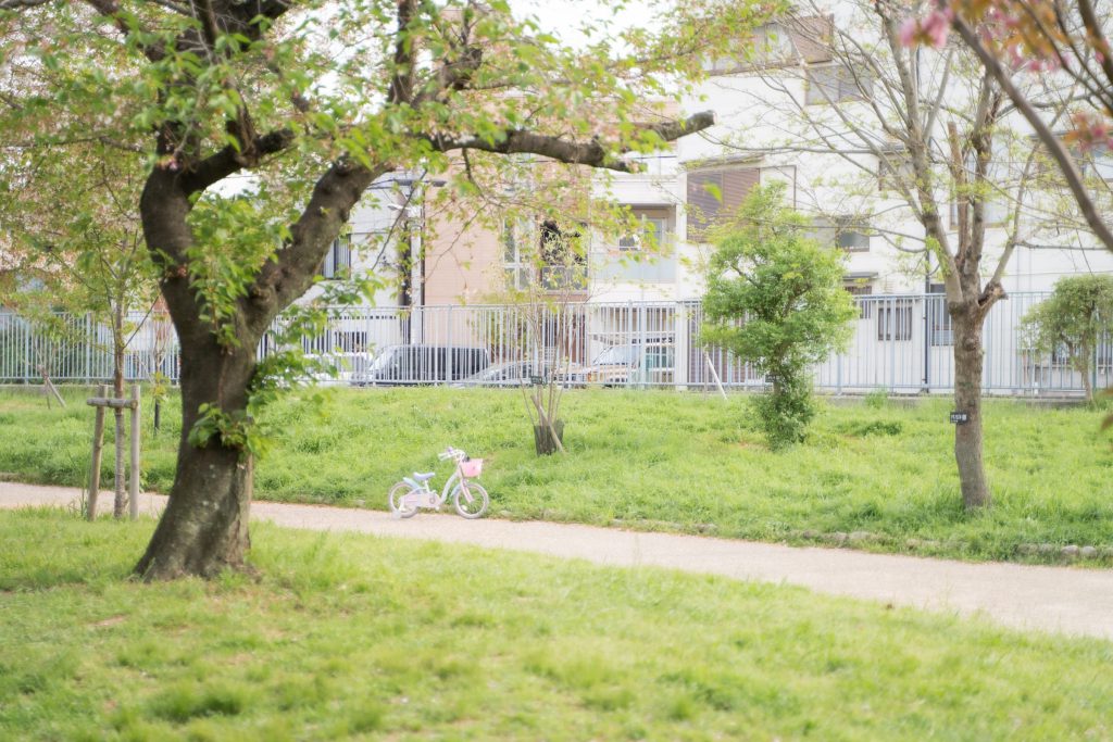 Street Snap